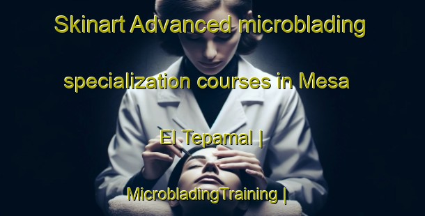 Skinart Advanced microblading specialization courses in Mesa El Tepamal | MicrobladingTraining | MicrobladingClasses | SkinartTraining-Mexico
